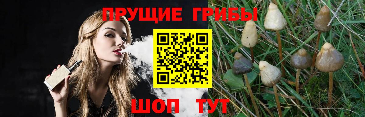 Галлюциногенные грибы мицелий  Вход с VPN  Жуковский  Галлюциногенные грибы Psilocybine cubensis 